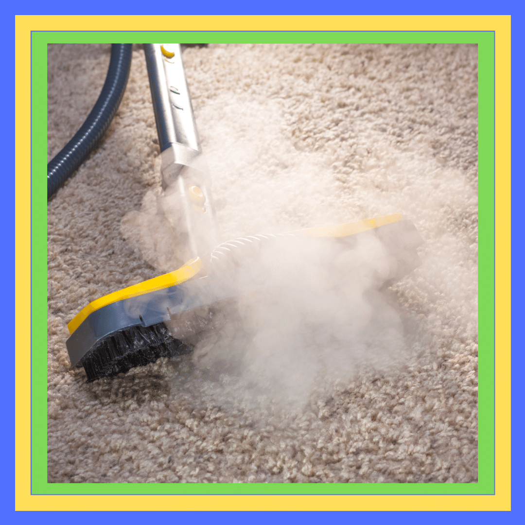 Carpet Steam Cleaning Botany